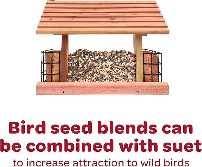 Kaytee Wild Finch Bird Food Stand Up Bag, 5 Pounds