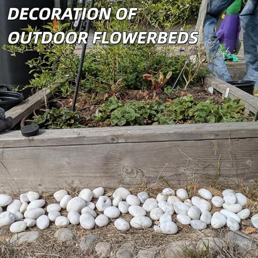 9lb White River Rocks for Plants, 1-3 Inch Pebbles for Indoor Plants, Polished Garden Rocks Outdoor Landscaping, Decorative Stones for Vases, Succulents, Aquarium, Walkways