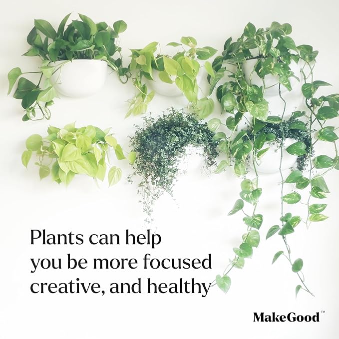 Make Good Virgo Wall Planters