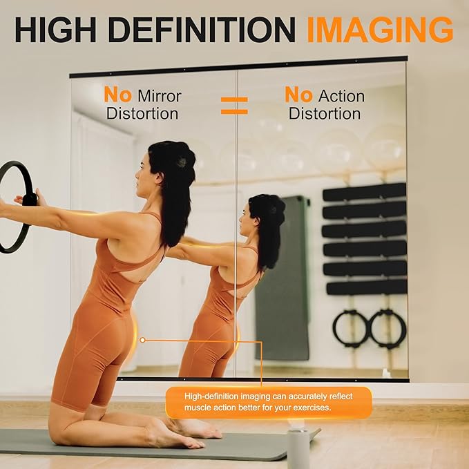 Delma Home Gym Mirror