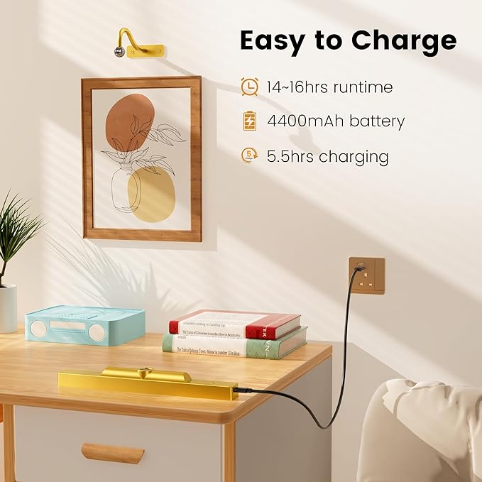 Picture Frame Light, Dimmable LED