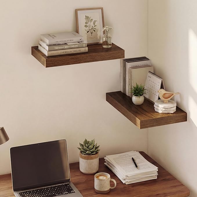 Dreamland 16 Inches Floating Shelves