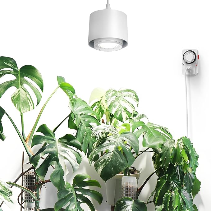 Barrina TR40 Hanging Plant Lights for Indoor Growing, 40W 5000K Full Spectrum, Adjustable Beam Angle (15Â°-60Â°), High PPFD, Spotlight Grow Light with Timer for Indoor, Large Tall Plant, Flowers, White