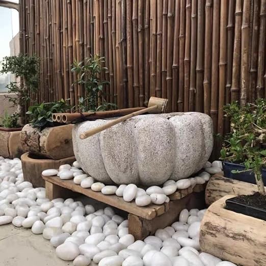 FANTIAN 5 lbs Large White River Rocks, 2-3 inch Pebbles for Indoor Plants, Polished Decorative Stones for Planters Vase Aquarium and Outdoor Garden Landscaping Rocks