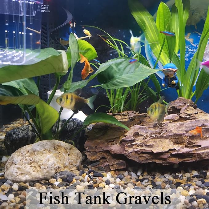 FANTIAN 40 lbs Aquarium Gravel, 1/4 Inch Fish Tank Pea Gravel, Decorative River Rocks Stone for Freshwater Tanks, Outdoor Pond, Garden, Landscaping, Terrarium, Soil Drainage