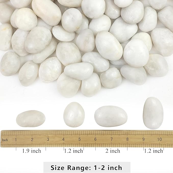YISZM 2lbs White River Rocks, 1-2 Inch Natural Pebbles for Indoor Plants, High Polished Decorative Stones Vase Filler Fish Tank Aquariums Landscaping Garden Outdoor and Indoor DIY