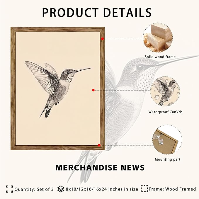 Vintage Framed Wall Art, Birds Canvas Prints, Hummingbird Sketch Painting