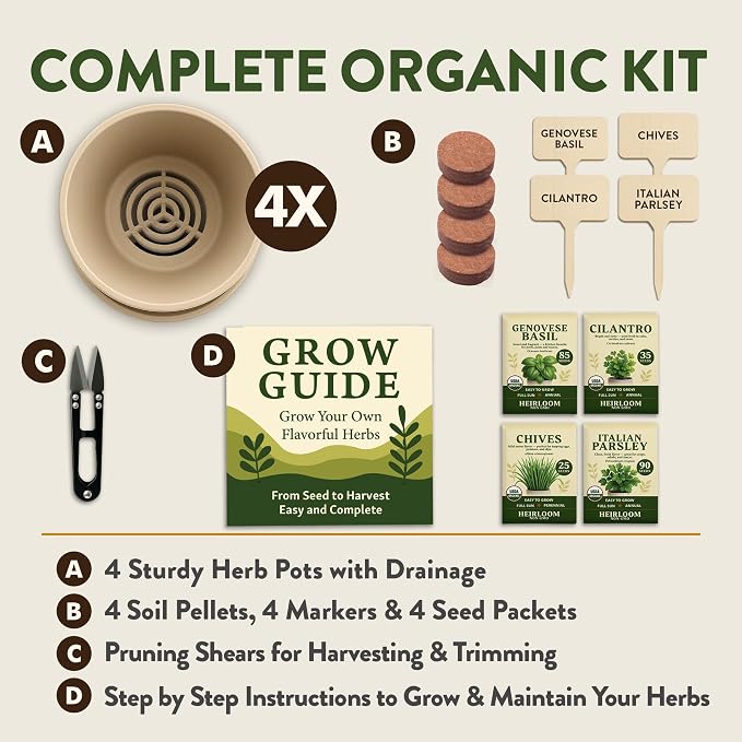 HOME GROWN Bonsai Tree Starter Kit – Unique Christmas Gift for Adults, Men, Women - Grow 4 Bonsais & Indoor Organic Herb Garden Kit – Unique Christmas Gift for Adults, Men, & Women - Grow 4 Herb Seeds