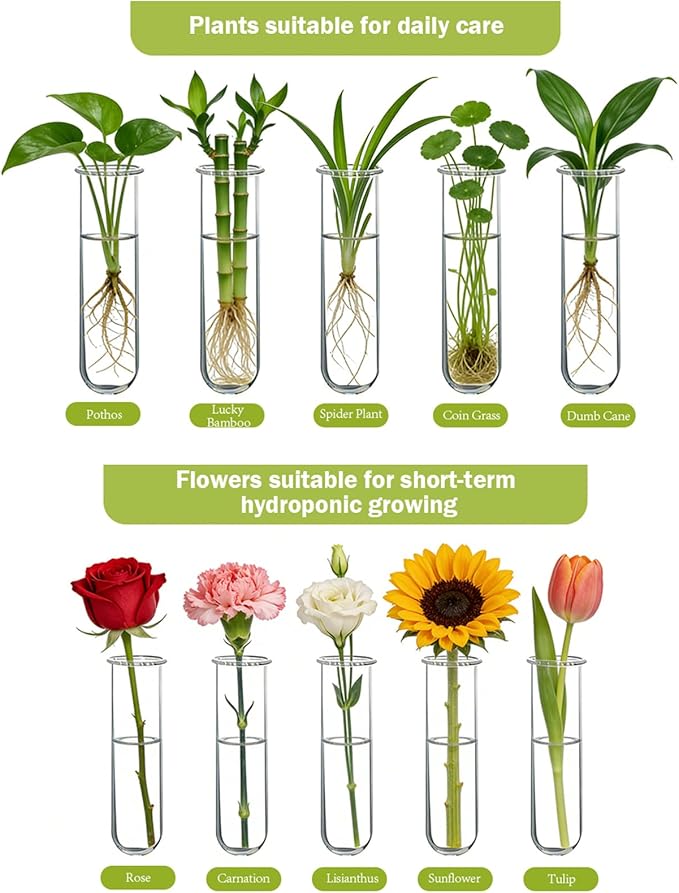 XXXFLOWER Wall Hanging Propagation Station