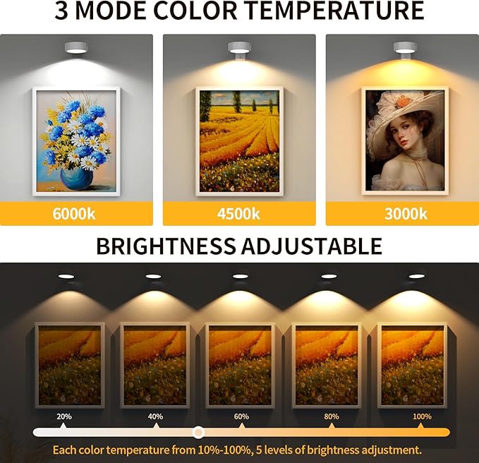Narotood 6 Pack Picture Lights for Wall, Rechargeable Battery Operated Wall