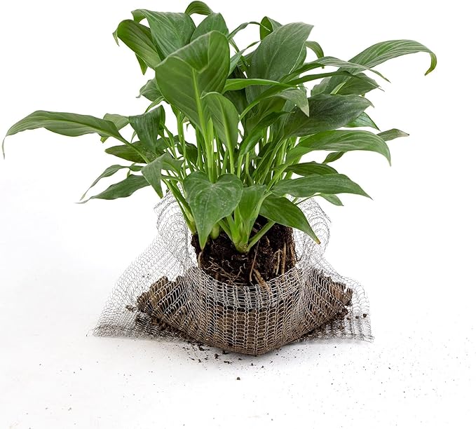 Root Guard Gopher Proof Wire Basket Mole and Vole Mesh Wire Baskets Underground Stainless Steel Wire for Plants Root Protection (Silver, 5 Gallon/ 8 Packs)