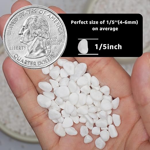 5lbs Natural Gravel Pebbles for Succulents and Cacti, 1/5 Inch Decorative River Stones – Perfect for Vases, Aquariums, Terrariums, and Outdoor Gardening, Mixed Colors (White, 5 Pounds)