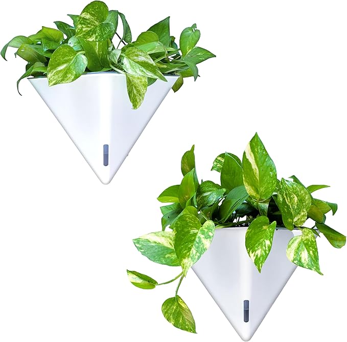 LaLaGreen Wall Planters for Indoor Plants