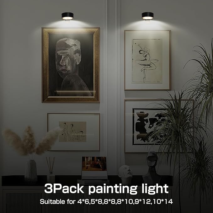 2-Pack Picture Light for Paintings Battery Operated Art Light