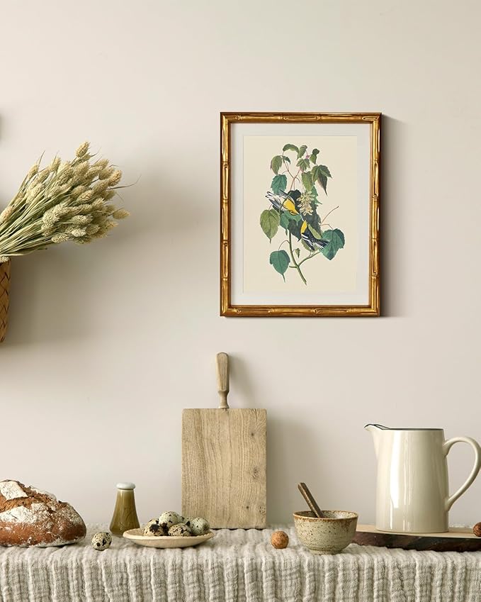 InSimSea Gold Bamboo Framed Canvas Wall Art, Vintage Bird Botanical Paintings