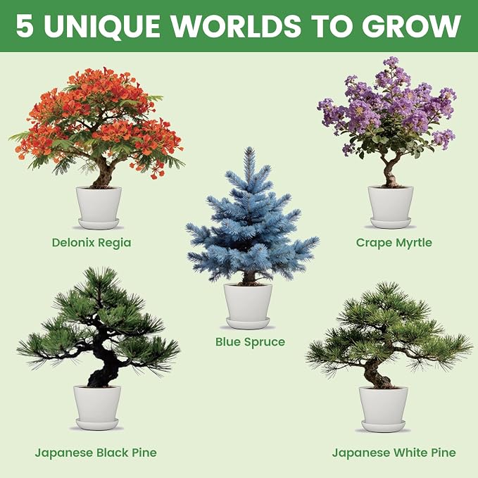 Bonsai Tree Kit for Beginners – 5 Bonsai Starter Kit for Beginner, Indoor for Growing Bonsai Plants with Tools & Planters – DIY Craft Gardening Gifts, White Elephant Gifts for Adults Men Women