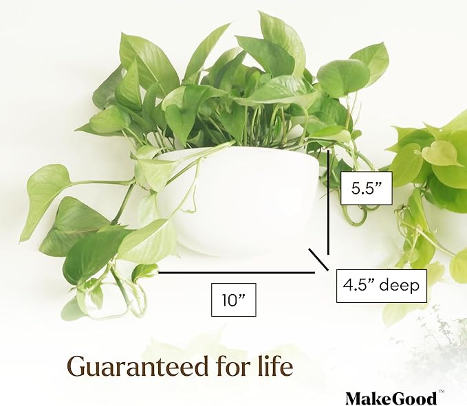 Make Good Virgo Wall Planters