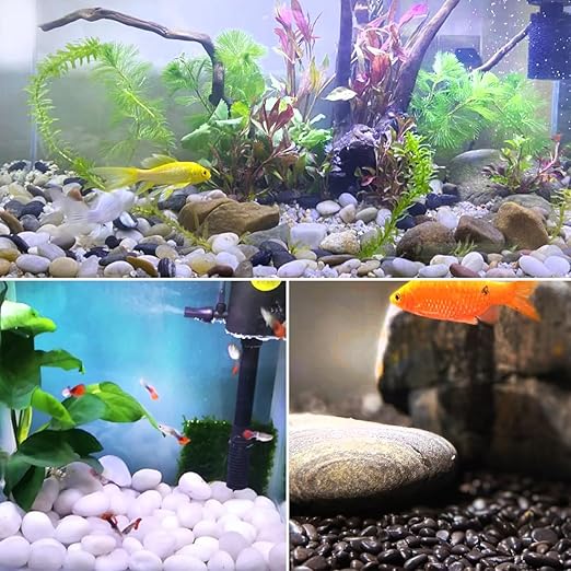 YISZM 20lbs White River Rocks for Landscaping, 2-3 Inch Natural Pebbles for Indoor Plants, High Polished Decorative Stones Vase Filler Fish Tank Aquariums Garden Outdoor and Indoor DIY