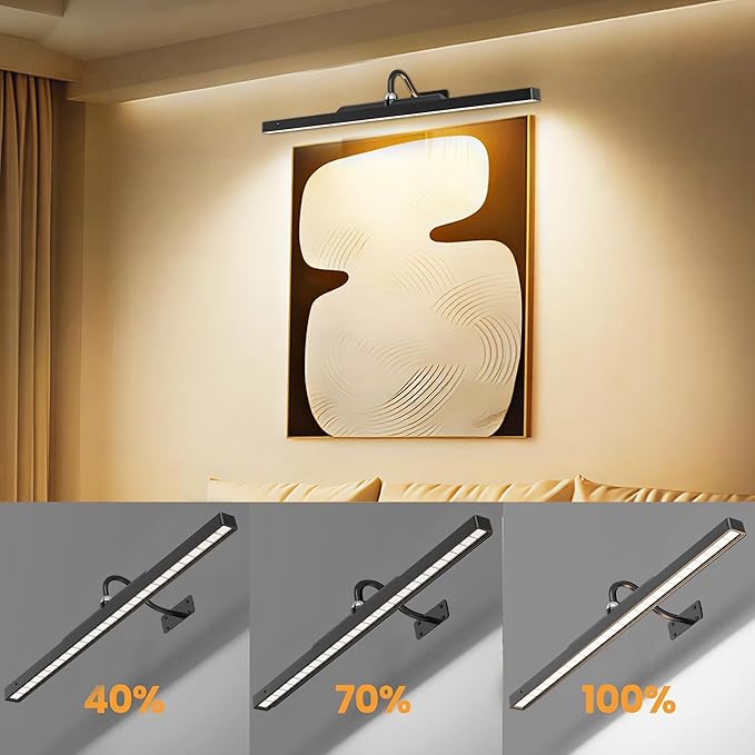 24 Inch Picture Light