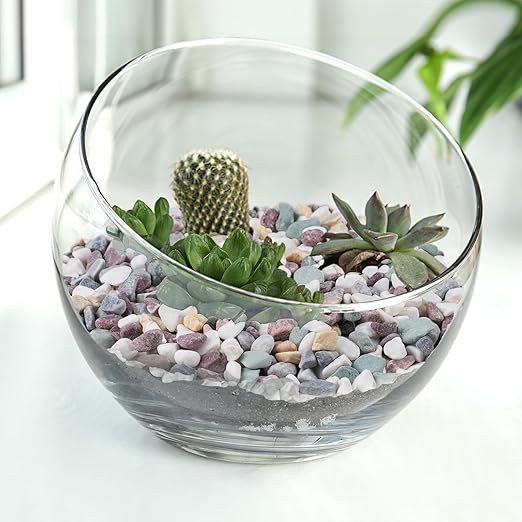 Pulovin 5 lbs Pea Gravel for Plants, Aquarium, Fish Tank, 3/8 inch Decorative Pebbles for Indoor Plants, Succulent, Bamboo, Vase, Drainage Rocks for Potted Plants, Top Dressing, Mixed Color