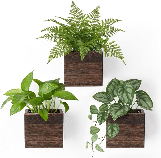 Dahey Small 4 Inch Wood Wall Hanging Planter Boxes