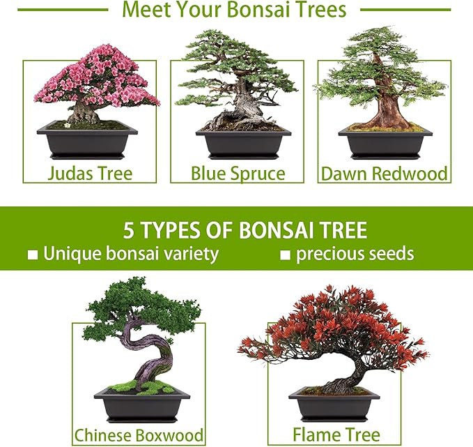 Meekear Bonsai Tree Kit with Complete Plant Growing Tools, Grow in Pot Indoor Bonsai Tree Starter Kit, Home Gardening DIY Gift for Adult