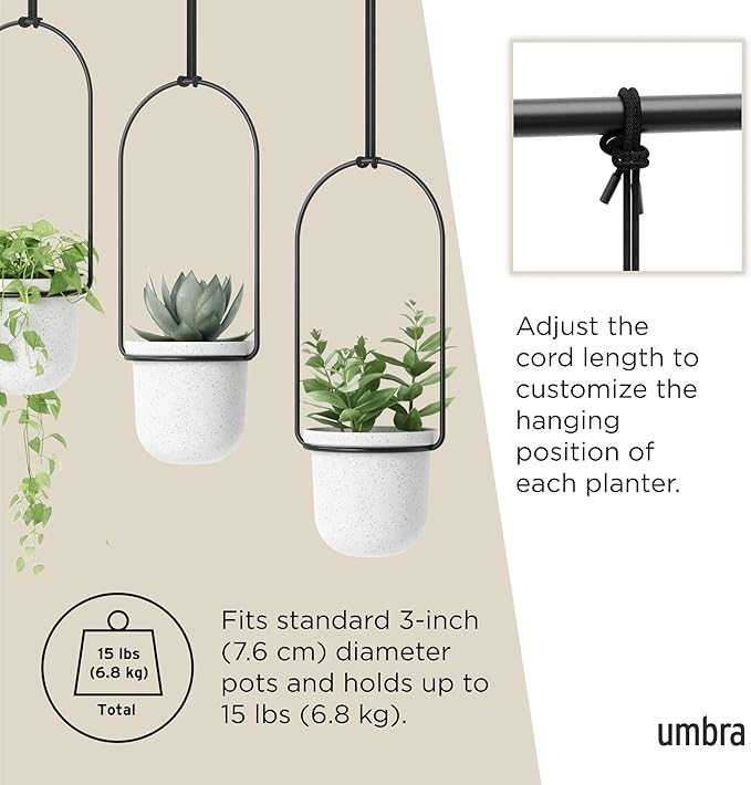 Umbra Triflora Hanging Planter for Window, Indoor Herb Garden