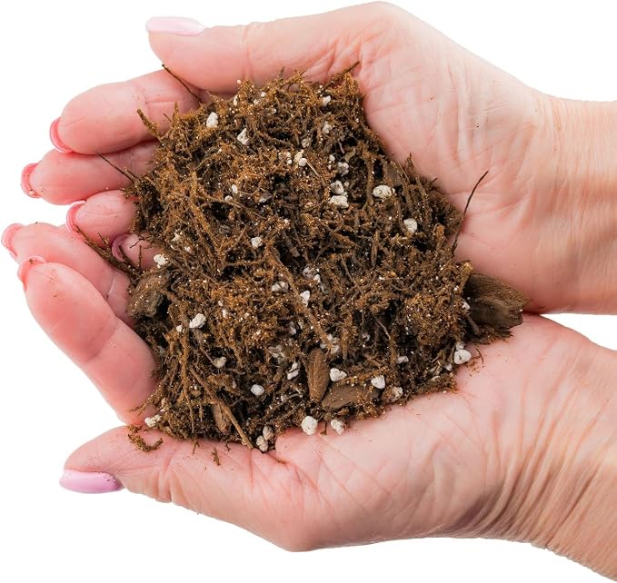 Premium Gardenera House Plant Potting Mix | Fern + New Zealand Bark + Perlite | Great for Pothos, Spider Plants, Montsera, Philodendron, English Ivy - 1 Quart Bag