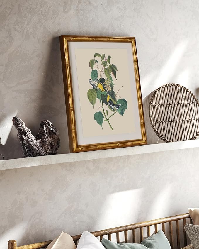 InSimSea Gold Bamboo Framed Canvas Wall Art, Vintage Bird Botanical Paintings