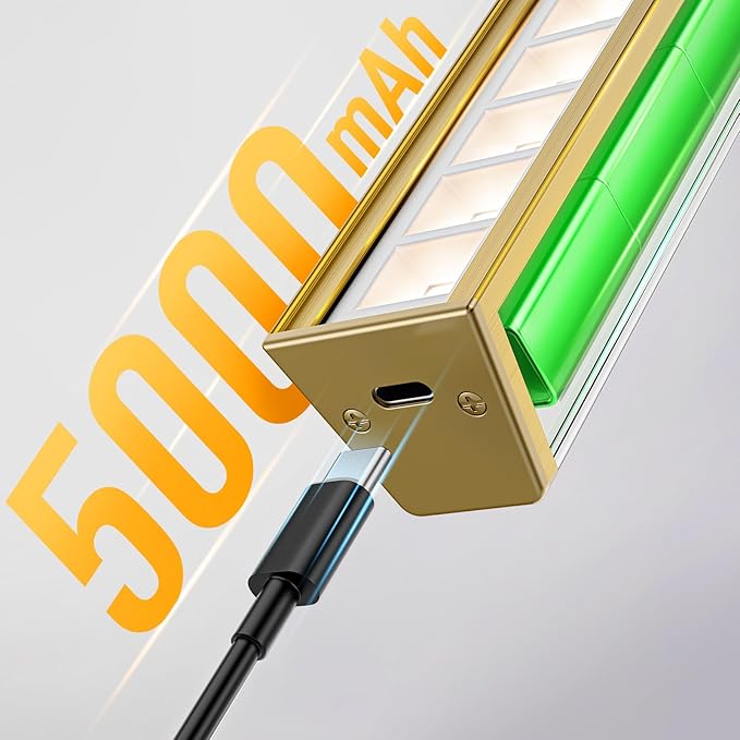 Afyuol Picture Lights for Wall, Brushed Gold Battery Operated Picture Light