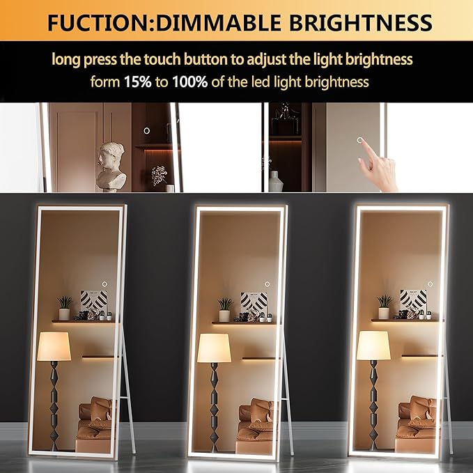Hasipu Full Length Mirror with Lights, Full Body Dressing Hanging Mounted Mirror