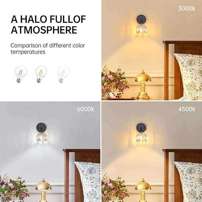 Shenmoyl Vintage Wall Sconce