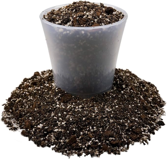 Gardenera Fiddle Leaf Fig Soil Mix - 10 Quart - Premium Blend of Peat Moss, New Zealand Bark, Coco Chips, and Perlite for All Purpose Planting - 2 Bags of 5 Quart