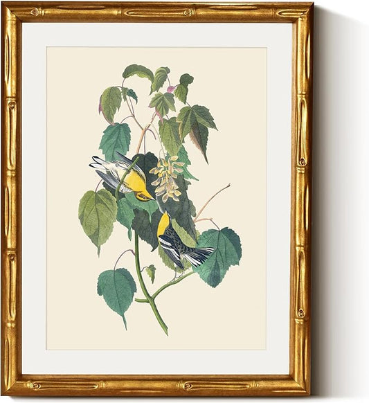 InSimSea Gold Bamboo Framed Canvas Wall Art, Vintage Bird Botanical Paintings