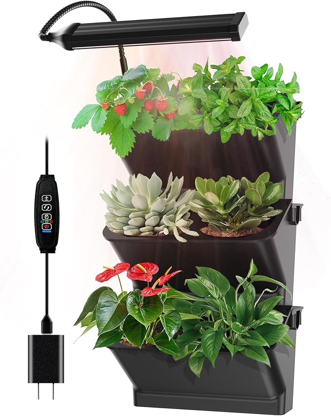 Wall Planters for Indoor Plants