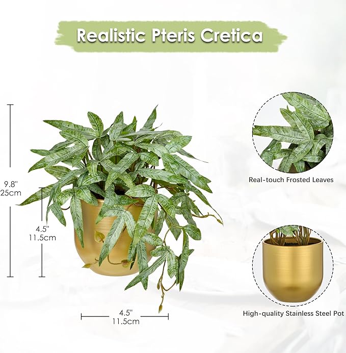 Briful Faux Plants Indoor 9'' Small Artificial Plant with Gold Pot Fake Pteris Cretica Fern Plant for Home Office Room Desk Shelf Decor Indoor
