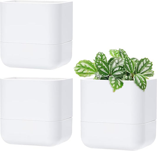 Phoenix Vine 6.5 Inch Wall Mounted Self-Watering Planter Pot