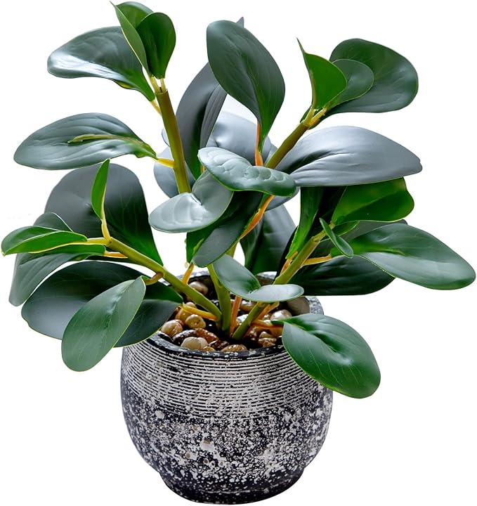 AlphaAcc Artificial Plants Potted Real Looking Small Faux Plant with Rustic Black Cement Planter for Kitchen Office Desk Bookshelf Decor (Ficus Plant)