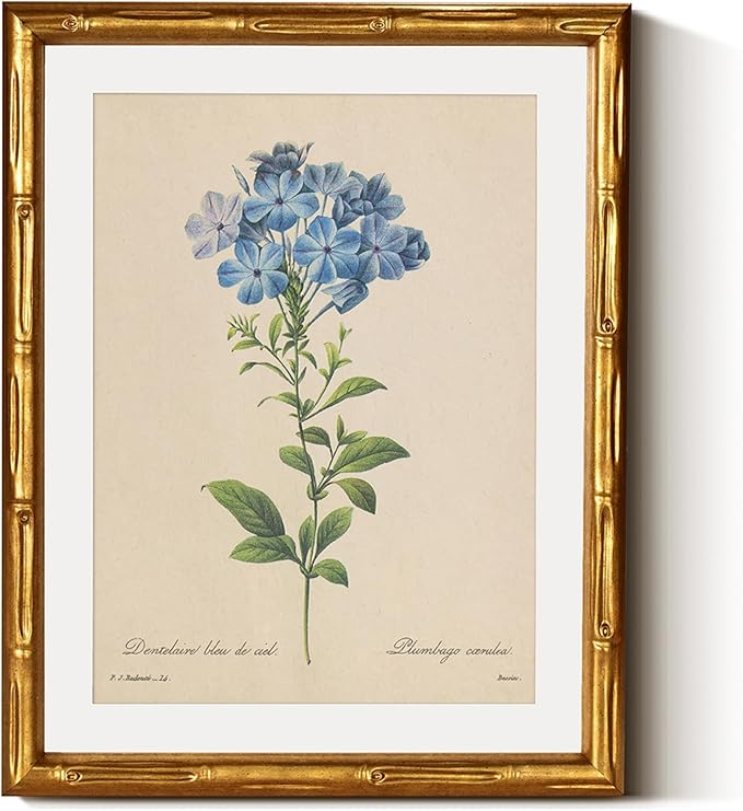 InSimSea Gold Bamboo Framed Canvas Wall Art, Vintage Minimalist Blue Botanical