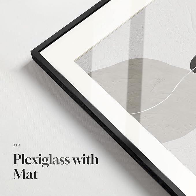 Framed Black and White Abstract Wall Art