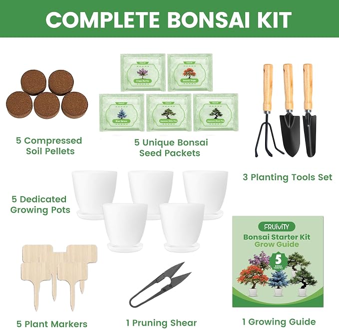 Bonsai Tree Kit for Beginners – 5 Bonsai Starter Kit for Beginner, Indoor for Growing Bonsai Plants with Tools & Planters – DIY Craft Gardening Gifts, White Elephant Gifts for Adults Men Women