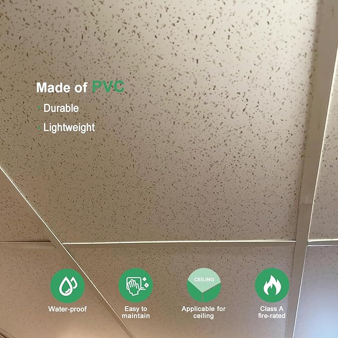 2ft x 4ft Printed Pro Ceiling Tiles