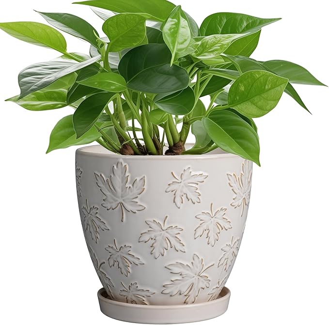 Ceramic Plant Pot 6 Inch - Ceramic Planter with Drainage Hole and Saucer Round Planter Flower Pot for Indoor Plants Outdoor Home Garden Office Decor White