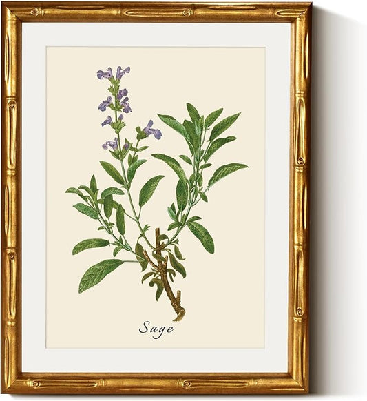 InSimSea Gold Bamboo Framed Canvas Wall Art, Vintage Watercolor Sage Herbs