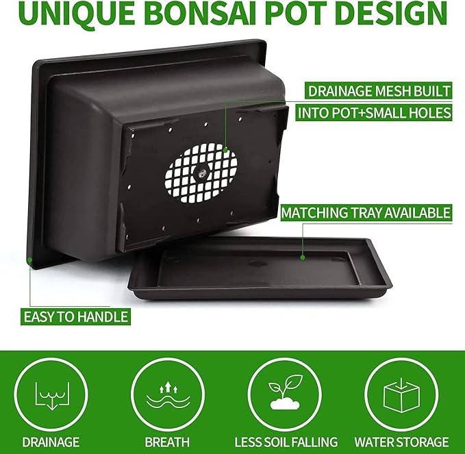 Bonsai Tree Starter Kit - Grow 5 Unique Indoor Japanese Bonsai Seeds, Complete Gardening DIY Set with Pots, Soil, Shears, Unique Gardening Gifts for Men Women