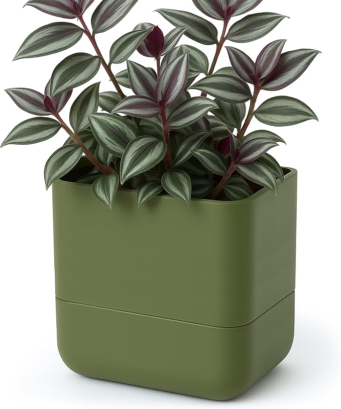 Phoenix Vine 6.5 Inch Wall Mounted Self-Watering Planter Pot
