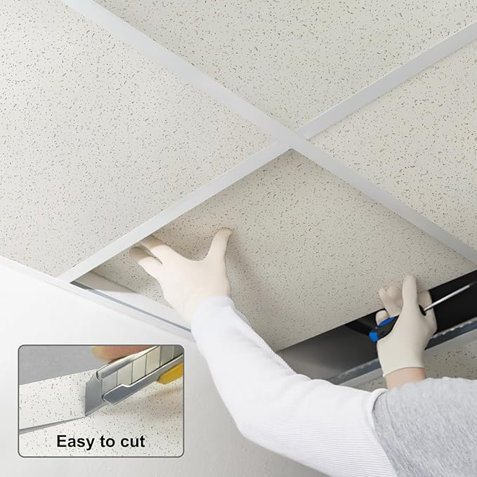 2ft x 4ft Printed Pro Ceiling Tiles