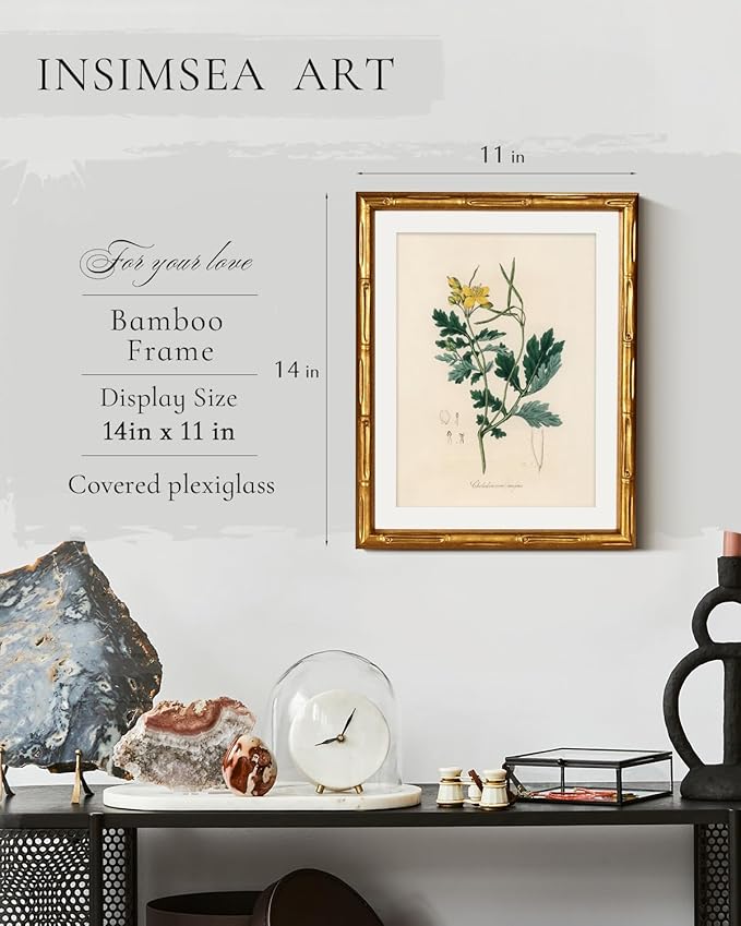 InSimSea Gold Bamboo Framed Canvas Wall Art, Kitchen Herbs Botanical Paintings