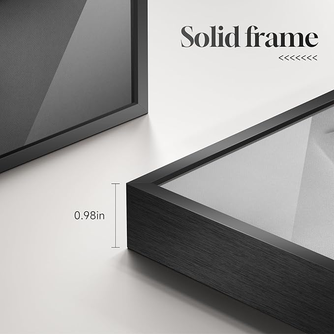 Framed Black and White Modern Elegant Abstract Wall Art, Large Contemporary