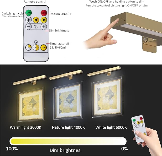 MIOBLUE Rechargeable Picture Lights